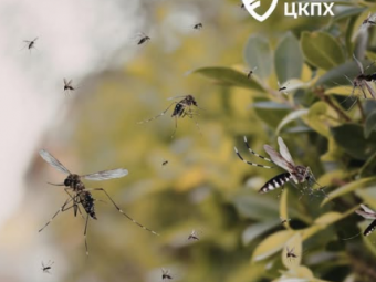 У жінки виявили небезпечний тропічний вірус 