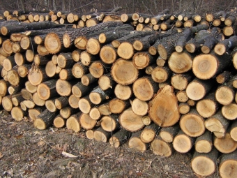 Нововолинська громада надає допомогу на придбання дров: хто може отримати 