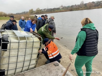 У нововолинське озеро запустили близько пів тонни риби 