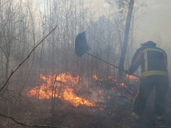 Рятувальники Волині ліквідували дев’ять пожеж в екосистемах 