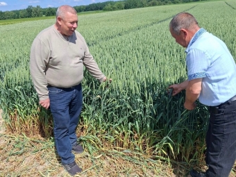 У Затурцівській громаді провели аграрний семінар на базі фермерського господарства «Павловичівське-Ш» 