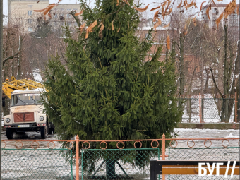 У міському парку встановили головну ялинку Нововолинська 