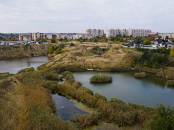 У Нововолинську знайшли мертвою жінку, яка зникла 4 місяці тому 