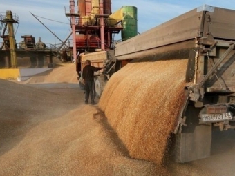 РФ вивезла з окупованих територій України понад 2 млн тонн зерна — СЗРУ 