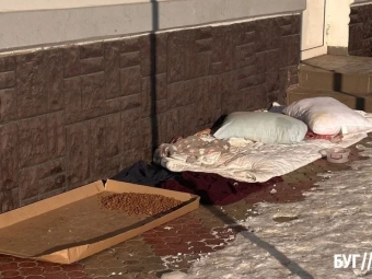 У Володимирі мешканці облаштовують «пункти тепла» для безпритульних собак 