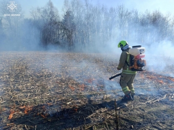 На Волині ліквідували чотири пожежі сухої трави 