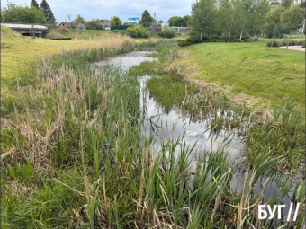 Міська влада планує нарешті почистити річку Риловицю 