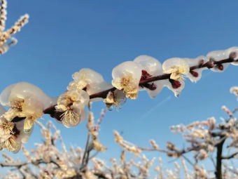 Квітень принесе похолодання в Україну: суне арктичне вторгнення зі Скандинавії 