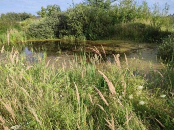 У Володимирському районі віддають ставок в оренду на 20 років 