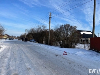 У Зимнівській громаді два автомобілі злетіли у кювет 