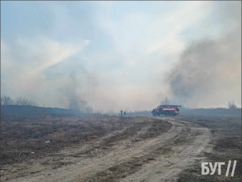 Біля Володимира горіли великі площі сухостою 