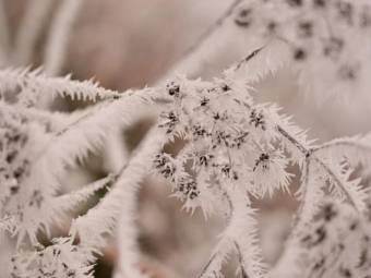 Україну накриє накриє потужний антициклон 