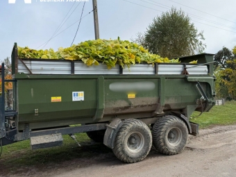 Тютюнові плантації на 40 гектарів: у Володимирському районі судитимуть двох братів-фермерів 