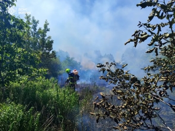Горіли суха трава, чагарники та сміття: за добу на Волині гасили сім пожеж 