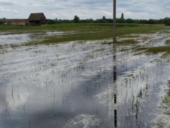 На Любешівщині затопило тисячі гектарів угідь 