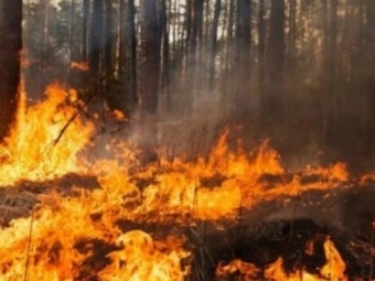 У Володимирському районі за 2023 рік трапилось 115 пожеж 