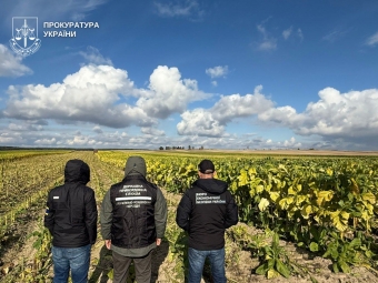 Медіа з’ясували, кому належать плантації тютюну на 40 гектарів, що виявили у Поромівській громаді 