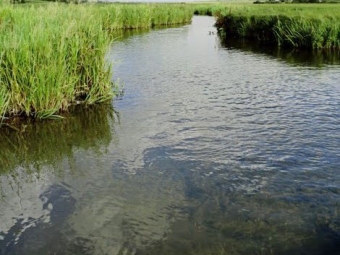 Дві громади на Волині поставили під загрозу гідрологічний заказник 
