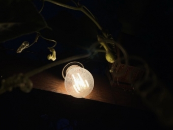 У Сан-Франциско – блекаут, без світла залишилися 130 тисяч абонентів 