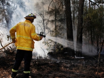 В Австралії вирують лісові пожежі, десятки тисяч людей залишилися без світла 