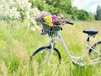 У Володимирі проведуть велопрогулянку мальовничими околицями міста 