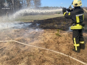На Волині ліквідовано пожежі в екосистемах 