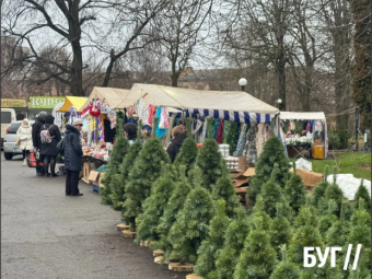 У Нововолинську на ринку біля стадіону стартував продаж ялинок та новорічного декору 