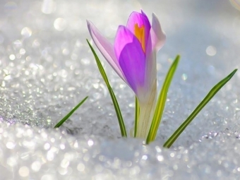 Якою буде погода у березні: синоптики дали прогноз 