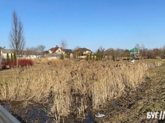 Риловиця заростає: очищення річки у Володимирі досі не проведене 