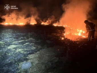 Поблизу Устилуга вогонь знищив гектар сухостою 