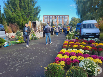 Ярмарок у Володимирі: черги за капустою, саджанцями та живою рибою 