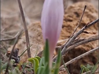 В Україні зафіксували тривожну аномалію 