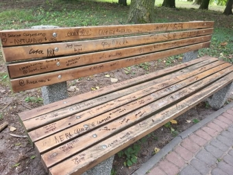  Парк «Княжий» у Володимирській громаді потерпає від вандалів 