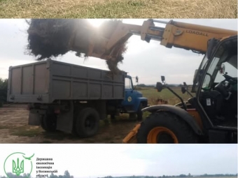 Екоінспекція виявила стихійне сміттєзвалище в Устилузькій громаді: порушників чекають штрафи 