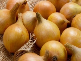 На українському ринку за тиждень суттєво подешевшала цибуля 