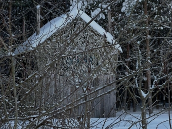 Урочище Вовчак на Турійщині вкрилось білою ковдрою 