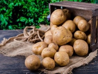 Картопля знову дорожчає: що відбувається на ринку 