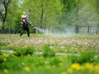У Володимирській громаді проведуть протикліщову обробку зон відпочинку 