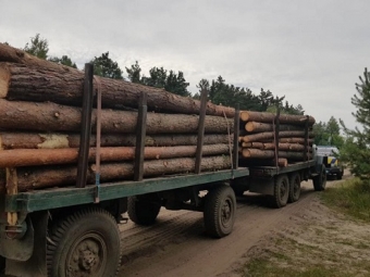 Поблизу Мовчанова зупинили вантажівку з лісом 