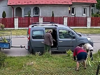 У центрі Іванич пенсіонерки вкрали квіти з приватної клумби 