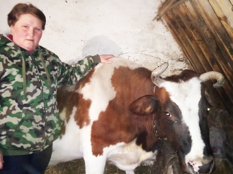Ветлікар села Лудин Оксана Лопатюк проводить обстеження сільськогосподарських тварин. 