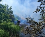 Горіли суха трава, чагарники та сміття: за добу на Волині гасили сім пожеж 