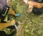 Понад 205 тисяч гривень збитків: на Волині затримали чоловіка, який незаконно рубав дерева в заказнику 